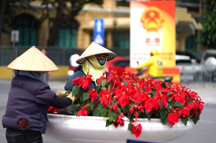 "Hướng tới dịp lễ 2/9, chúng tôi nỗ lực chăm sóc những thảm hoa thật tươi tốt để phục vụ người dân cùng du khách tới tham quan. Khi thấy không gian Hồ Gươm trở nên rực rỡ, ai nấy đều phấn khởi và chúng tôi cũng cảm thấy tự hào khi công việc của mình đóng góp vào việc làm đẹp cho Thủ đô" - cô Mai, một công nhân chăm sóc hoa, bộc bạch.
