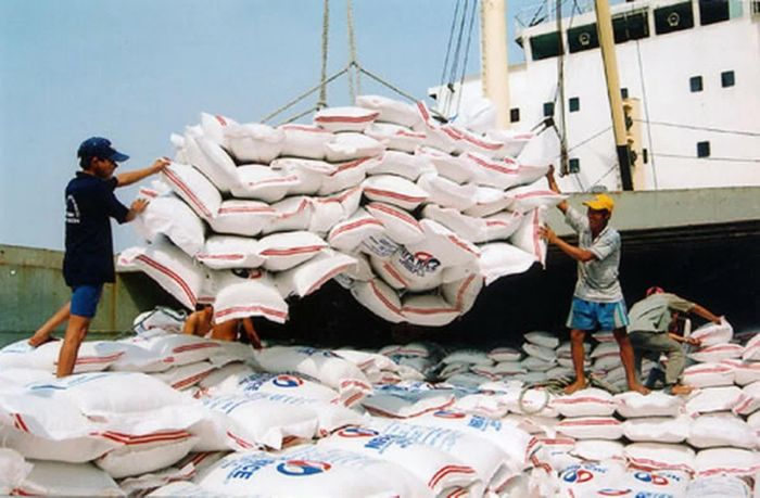 Trên thị trường xuất khẩu, giá gạo xuất khẩu hôm nay giảm nhẹ. Ảnh minh họa