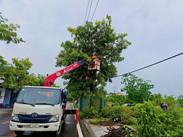 Nhân viên Điện lực Vĩnh Yên thực hiện phát quang hành lang lưới điện.