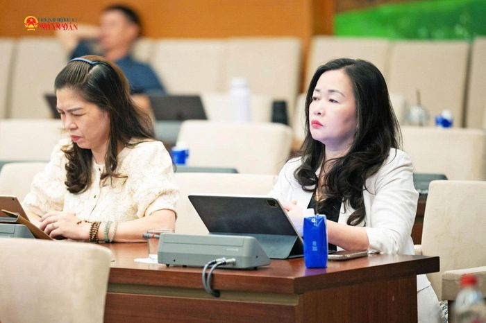 Các đại biểu dự phiên họp
