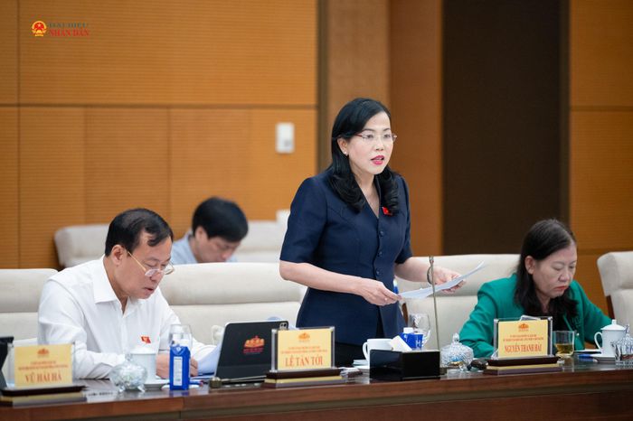 Chủ nhiệm Ủy ban Khoa học, Công nghệ và Môi trường Nguyễn Thanh Hải phát biểu tại phiên họp