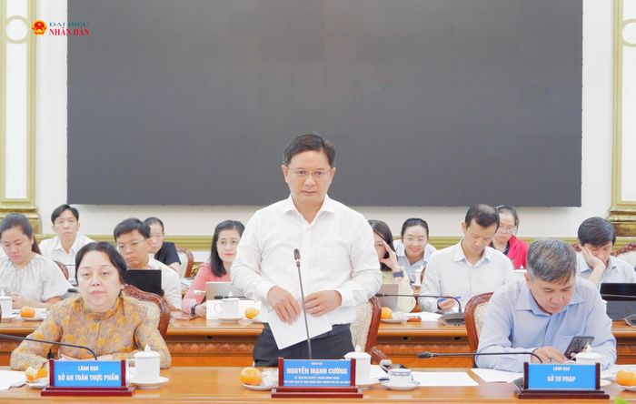 Phó Chủ tịch UBND TP. Hồ Chí Minh Nguyễn Mạnh Cường phát biểu