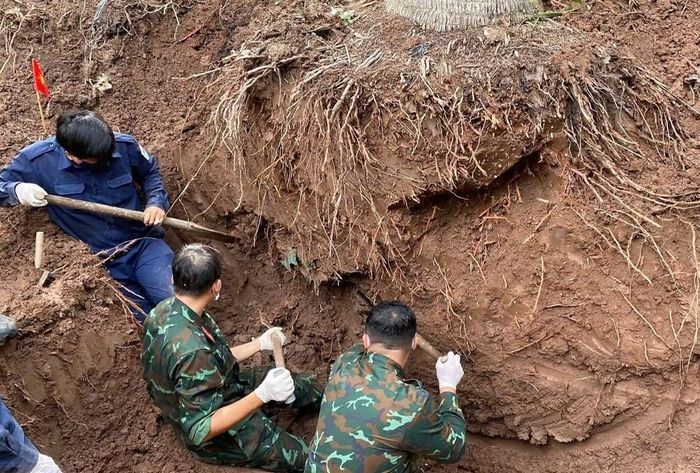 Vườn dừa lâu năm, rễ bám sâu nên cán bộ, chiến sĩ phải dùng sức người để đào các lớp đất. Ảnh: Đội K91