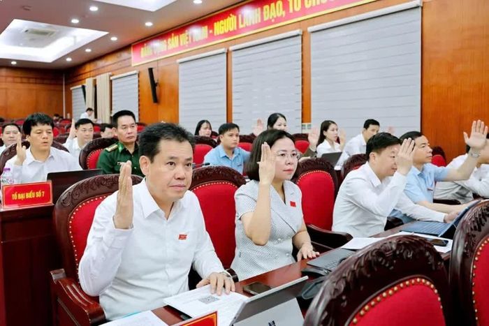 Các đại biểu biểu quyết thông qua Nghị quyết.