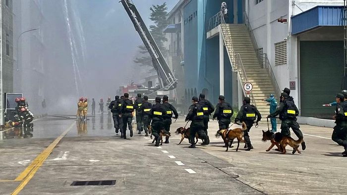 Chó nghiệp vụ tìm kiếm người mắc kẹt trong đám cháy được huy động đến hiện trường.