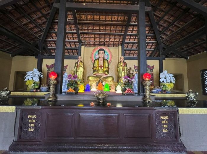 Ảnh tác giả cung cấp