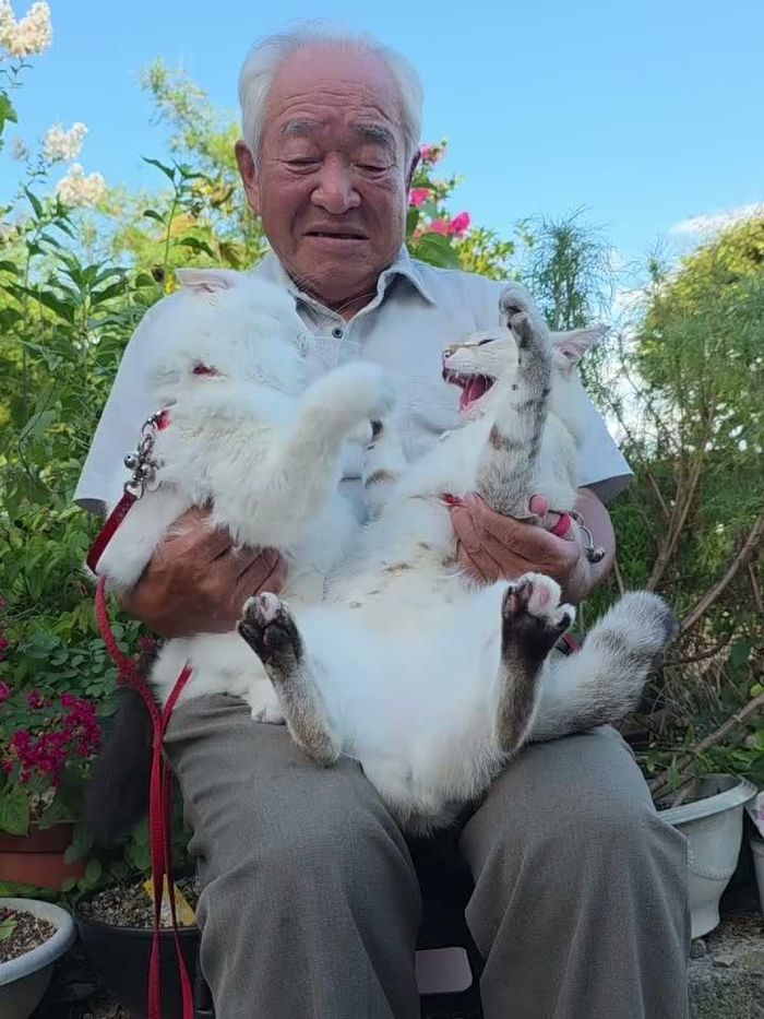 Ông lão mang Shushu và Miko đi chụp ảnh ở nhiều nơi tại Nhật Bản. Ảnh: IGNV