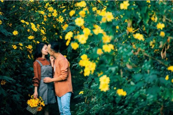 Hoa dã quỳ biểu thị cho sự gắn bó khăng khít, sẵn sàng hy sinh vì người mình yêu.