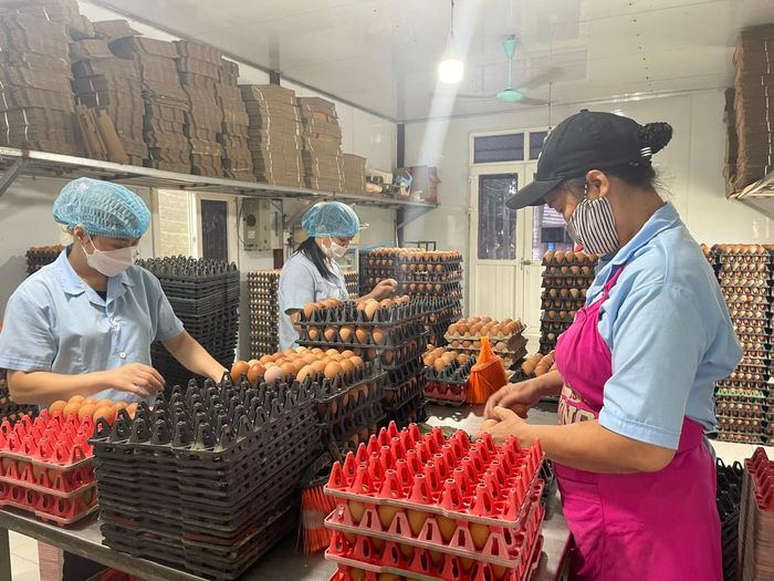 Khi truy xuất nguồn gốc được gắn với quy trình sản xuất thực chất, doanh nghiệp không chỉ cung cấp thêm thông tin cho khách hàng mà còn có thêm công cụ quản trị toàn bộ chuỗi sản xuất. Ảnh: PV