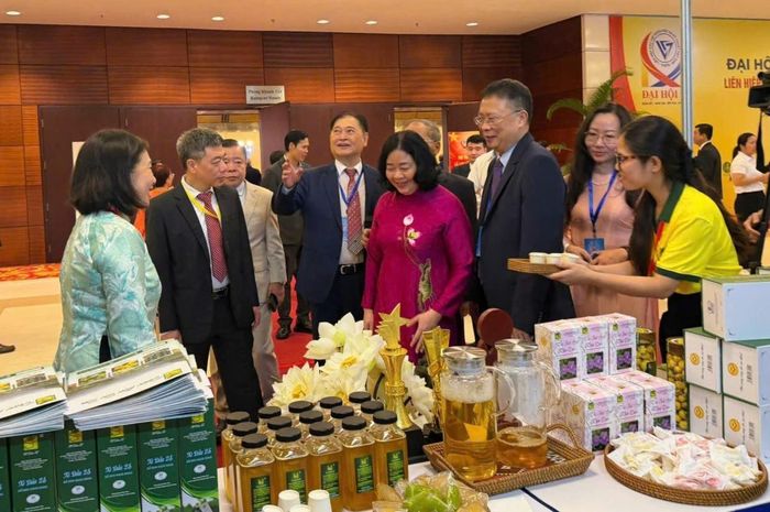 Các đại biểu tham quan gian trưng bày tại Đại hội IX Liên hiệp các Hội Khoa học và Kỹ thuật Việt Nam. Ảnh: PV