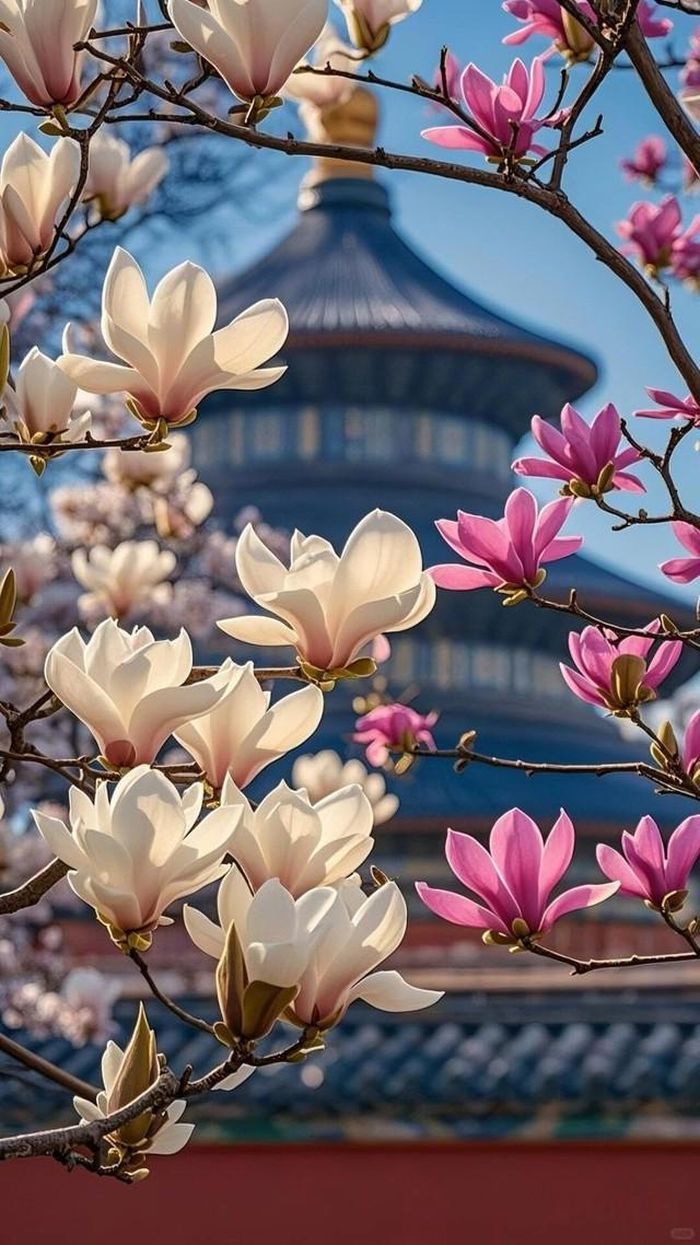 Theo tử vi, người sinh giờ Thìn Âm lịch thường được kỳ vọng có hậu vận sáng hơn khi tuổi đời ngày càng cao. Ảnh minh họa