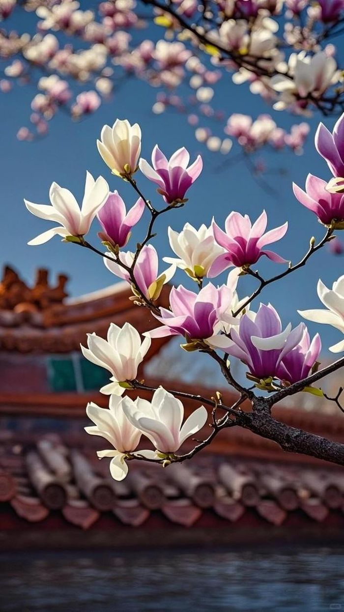 Tuổi càng cao, người sinh vào giờ Ngọ Âm lịch càng biết đâu là điều thực sự quan trọng, từ đó dễ tận hưởng thành quả do chính mình gây dựng. Ảnh minh họa