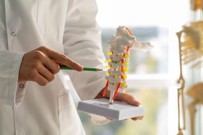 Gai đôi cột sống là một trong những dị tật ống thần kinh bẩm sinh thường gặp. Ảnh. M.H