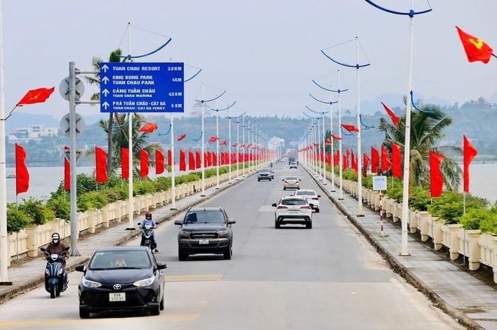 Sắc đỏ trải dài hai bên tuyến đường, tạo nổi bật trong những ngày cuối tháng 8. Ảnh: Nguyễn Thanh Tùng