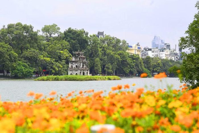 Tháp Rùa trầm mặc giữa hồ Gươm, tạo nên vẻ đẹp yên bình của Hà Nội trong những ngày Thủ đô rực rỡ cờ hoa