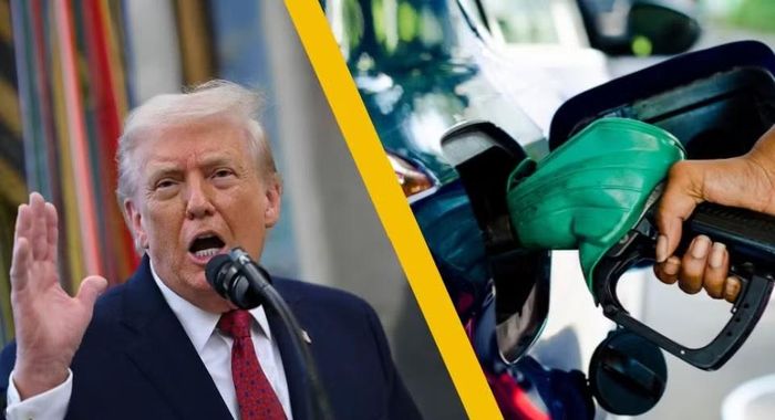 "Cả Tổng thống Trump lẫn bất kỳ thành viên nào trong gia đình ông đều không có khả năng chỉ đạo, gây ảnh hưởng hay đưa ra ý kiến về cách thức đầu tư", ông Ingle nói. Quan chức này khẳng định "không hề có xung đột lợi ích nào".