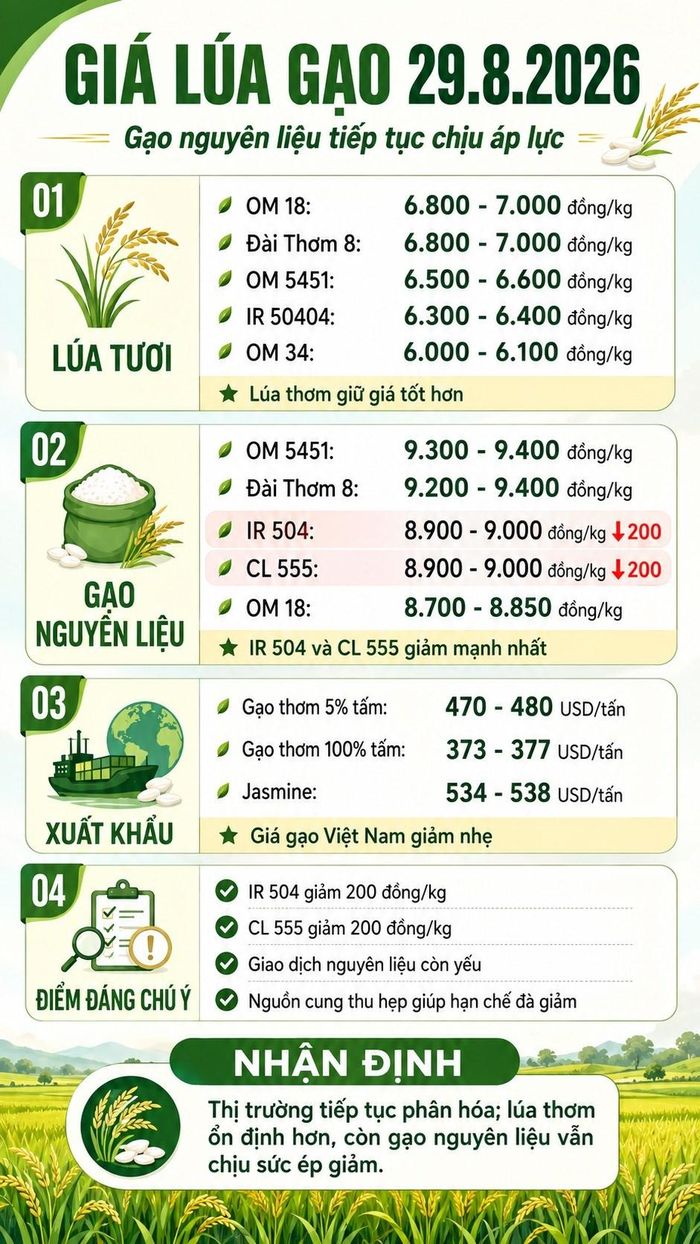 Giá thực tế có thể khác nhau tùy khu vực, chất lượng hàng và thời điểm giao dịch.