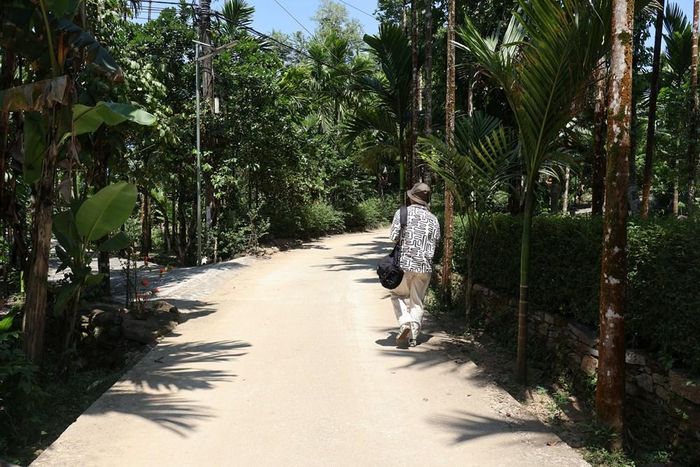Du khách sẽ có cơ hội tham quan nhà cổ, ngõ đá, đường đá, không gian vườn nhà, khám phá Làng Yên – Xóm Bàu và nhiều không gian văn hóa, cảnh quan mới của địa phương