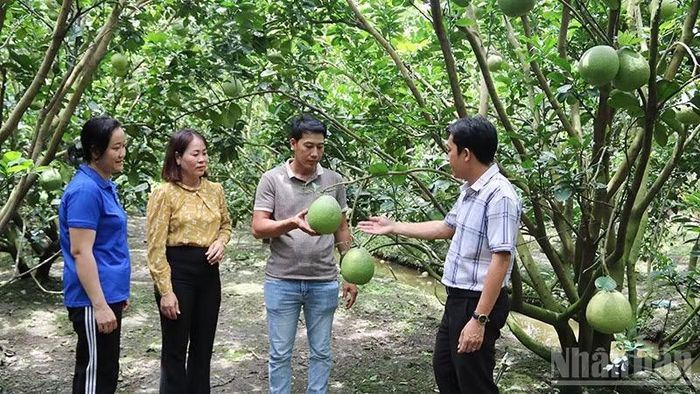 Cấp ủy, chính quyền xã Tam Ngãi, tỉnh Vĩnh Long tuyên truyền, vận động nhân dân yên tâm lao động, sản xuất. (Ảnh: MINH KHỞI)