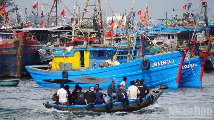 Tàu cá ngư dân miền trung neo đậu tại Âu thuyền cảng cá Thọ Quang, thành phố Đà Nẵng. (Ảnh: ANH ĐÀO)