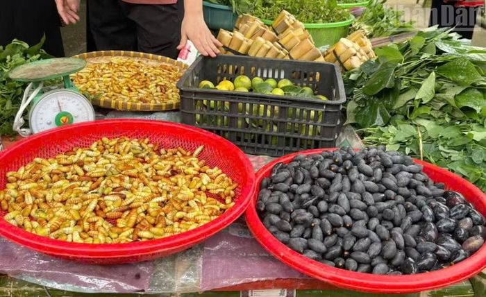 Sản phẩm trám đen, một trong những loại quả được đồng bào dân tộc Thái ở Sơn La sử dụng nhiều trong ẩm thực được bày bán tại chợ phiên Muổi Nọi. (Ảnh: QUỲNH LIÊN)