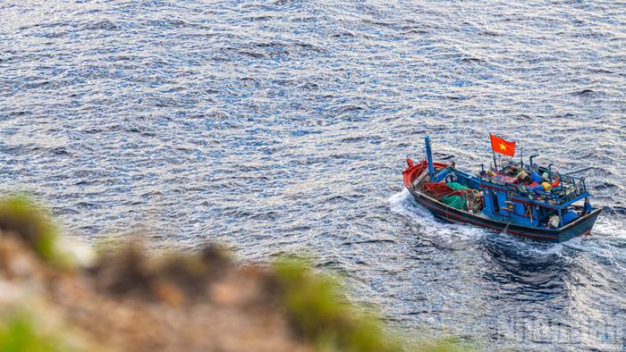 Dưới những bờ đá ấy, từng đoàn thuyền đánh cá trở về sau một đêm vươn khơi bám biển.