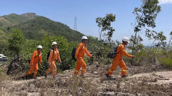  Công nhân quản lý vận hành đường dây tăng cường kiểm tra tuyến, rà soát các vị trí xung yếu. ﻿(Ảnh: HOÀNG VIỆT) 