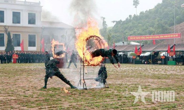 Màn biểu diễn võ thuật, kỹ thuật vượt chướng ngại vật khẳng định bản lĩnh bộ đội. 