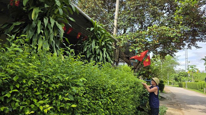  Cắt tỉa những hàng rào xanh ở Minh Hóa 