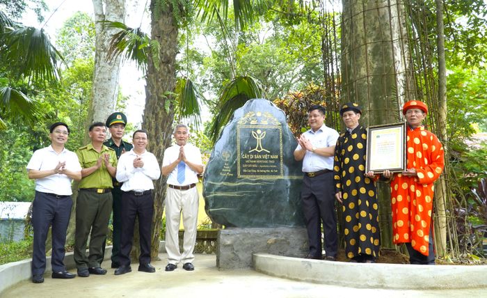  Các đại biểu chụp ảnh bên cây trầm hương cổ thụ ở xã Hương Khê 