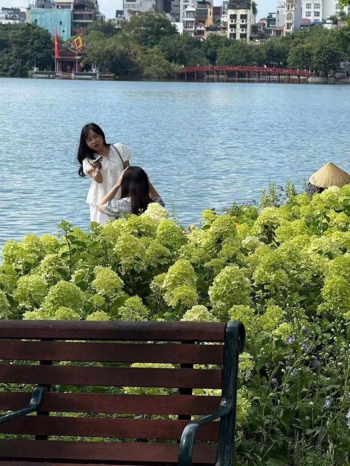 Con đường hoa thực chất là khu vực bồn hoa quanh hồ Gươm (đối diện tòa nhà Bưu điện Việt Nam) có chiều dài khoảng 20m. Toàn bộ hoa được trồng đều là hoa cẩm tú cầu với màu xanh matcha.