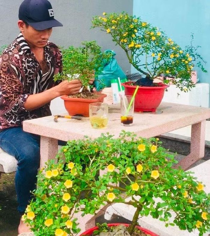 Theo một số "dân chơi" cây cảnh, cây ké có nhiều hình dáng khác nhau, được bán với giá 500.000 đồng đến vài triệu đồng/cây.