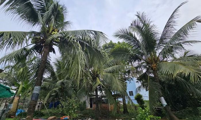 Hiện trường nơi nghi can bị thương.
