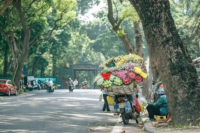 Ngày 30/8, thời tiết Hà Nội và khu vực miền Bắc có nắng, chiều và đêm có mưa dông. Ảnh: IT