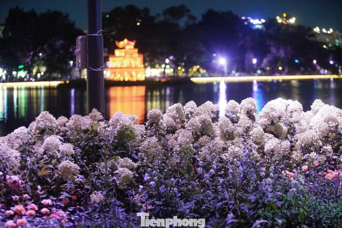 Mỗi điểm sáng được kích hoạt theo từng lớp, tạo nên sự chuyển tiếp nhịp nhàng giữa các không gian.