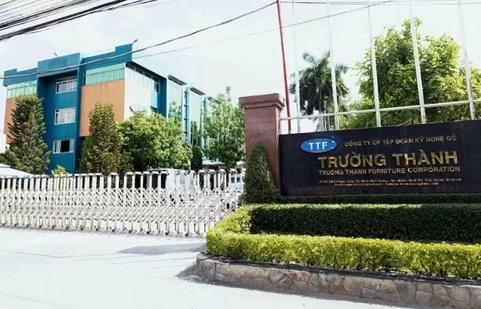 Gỗ Trường Thành xin gia hạn thời gian công bố báo cáo tài chính bán niên năm 2026.