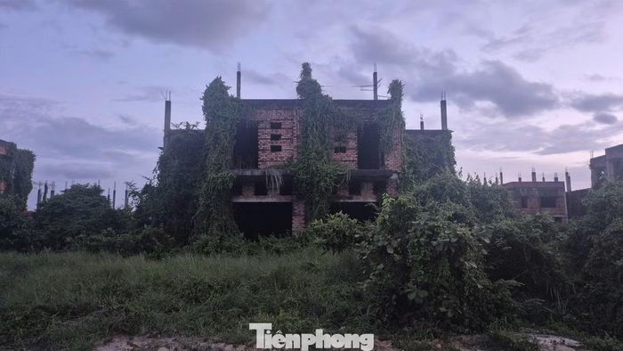 Khu biệt thự bỏ hoang, tăm tối ngay tại trung tâm Nhơn Trạch