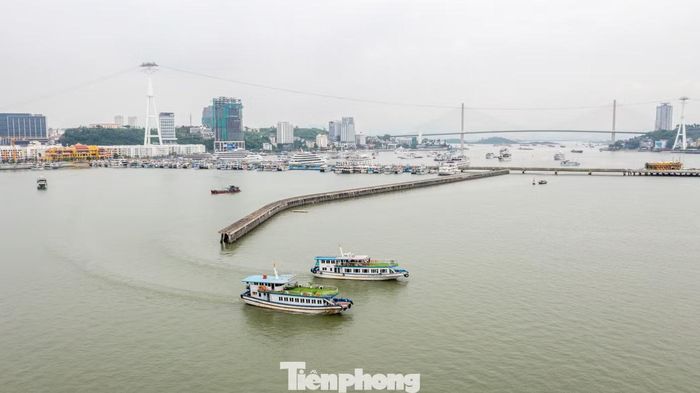 Những chiếc tàu 48 chỗ hiện đại chỉ chở vài khách đi tham quan vịnh Hạ Long trong ngày đầu kỳ nghỉ.
