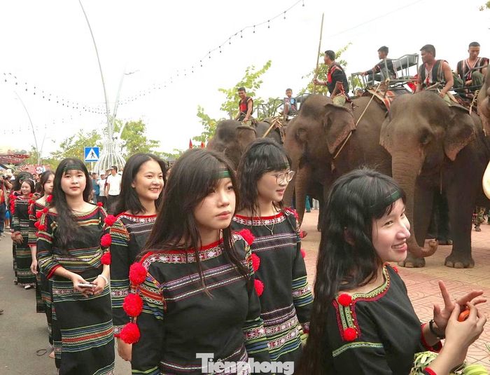 Những chú voi cùng các em nhỏ trong trang phục truyền thống tham gia diễu hành, tạo nên một không gian lễ hội gần gũi và giàu bản sắc.