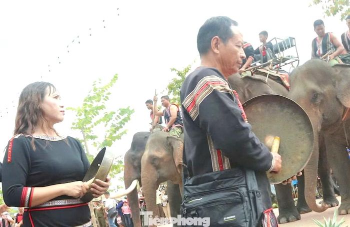 Hoà vào không gian rộn ràng tiếng cồng chiêng, những chú voi chậm rãi bước qua đám đông.