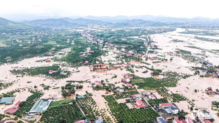 Sau lũ, người trồng vải Bắc Ninh thấp thỏm lo mất mùa.