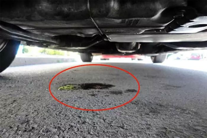 Quan sát gầm xe có thể "bắt" được nhiều bệnh ngay trước khi khởi hành. Ảnh: Otohui
