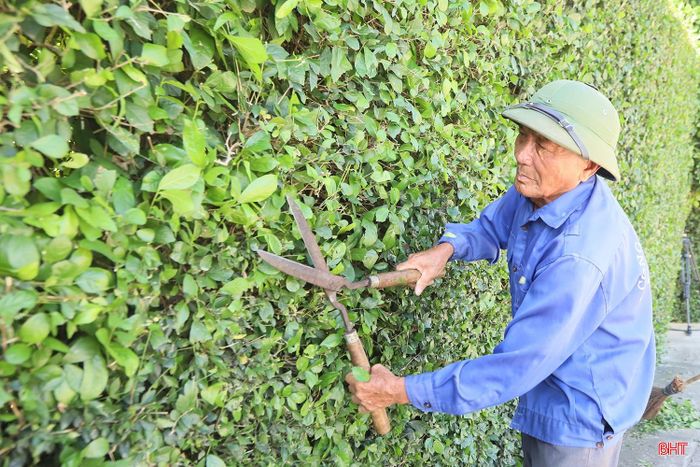 Cùng với đó, Nhân dân thôn Đức Phong (xã Đức Thọ) tích cực vệ sinh đường làng, cắt tỉa hàng rào xanh, chỉnh trang vườn hộ, góp phần tạo cảnh quan nông thôn sạch đẹp.