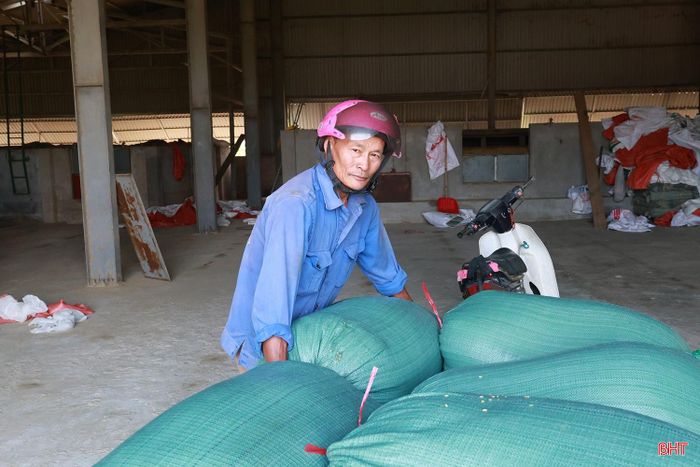 Người dân đưa lúa đến HTX Dịch vụ tổng hợp Giáp Trâm, xã Cẩm Bình để sấy.