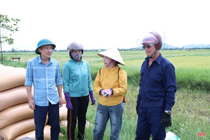Gần một tuần nay, khi người dân thôn Hưng Thắng, xã Cẩm Hưng bước vào cao điểm thu hoạch lúa hè thu, nhu cầu bán lúa tươi và sấy lúa tăng cao. Nắm bắt nhu cầu này, bà Hà Thị Tám (thứ 2, từ phải sang) - hộ kinh doanh vật tư nông nghiệp trên địa bàn, đã tổ chức thu mua lúa tươi, đồng thời nhận vận chuyển lúa đến các cơ sở sấy cho những hộ có nhu cầu.
