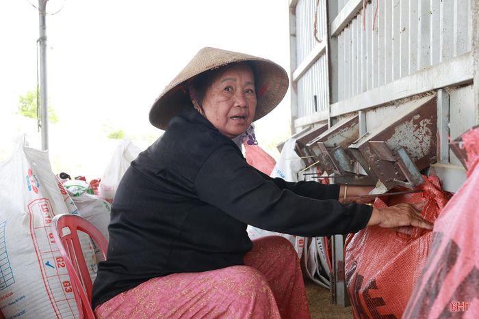 “Thời điểm này lượng lúa đưa về rất lớn nên cả 6 lò sấy của công ty đều vận hành liên tục ngày đêm. Chúng tôi bố trí tiếp nhận, sấy luân phiên để lúa không phải lưu lại lâu; đồng thời, thu mua lúa tươi đối với những hộ có nhu cầu bán. Qua sấy, độ ẩm của hạt được kiểm soát tốt hơn, thuận lợi cho việc bảo quản lâu dài” – bà Nguyễn Thị Cúc (người trong ảnh), chủ lò sấy Cúc Thông cho biết.