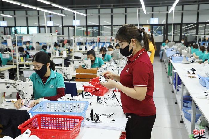 Mỗi ngày, Công ty TNHH Haivina Hồng Lĩnh hoàn thành khoảng 25.000 sản phẩm găng tay.