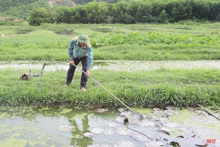 Người dân xã Mai Hoa đa dạng mô hình kinh tế để nâng cao thu nhập.