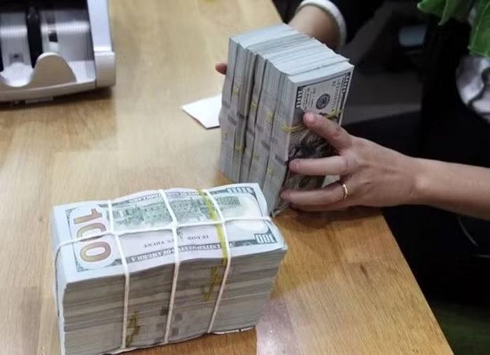 Lượng kiều hối về Việt Nam từ năm 1993 (năm đầu tiên thống kê kiều hối) đến hết 2022 đạt trên 190 tỷ USD. (Ảnh: Vietnam+)