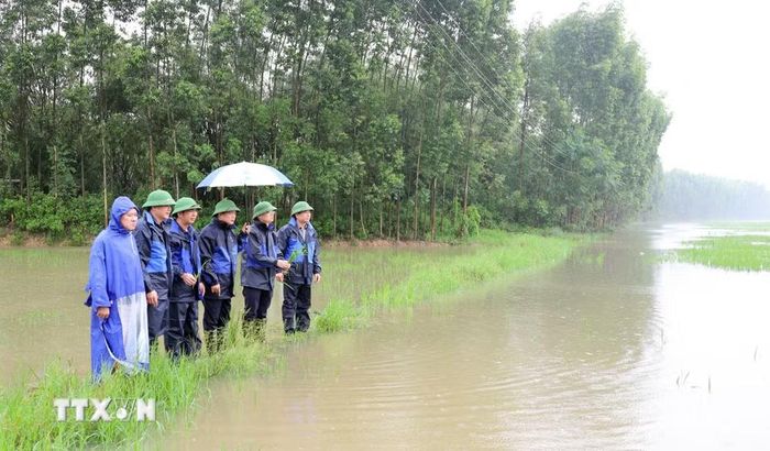 Lãnh đạo phường Phương Liễu, tỉnh Bắc Ninh kiểm tra công tác tiêu úng. (Ảnh: Thanh Thương/TTXVN)